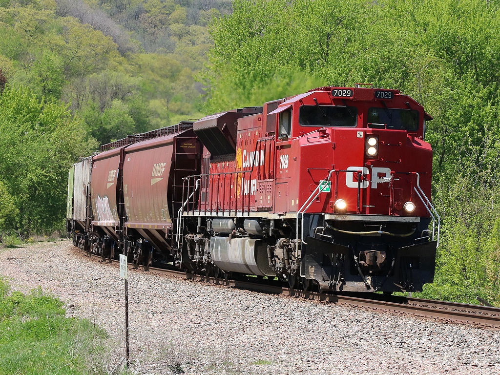 CP 7029